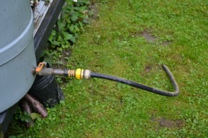 Hose Connected Directly to Rain Barrel