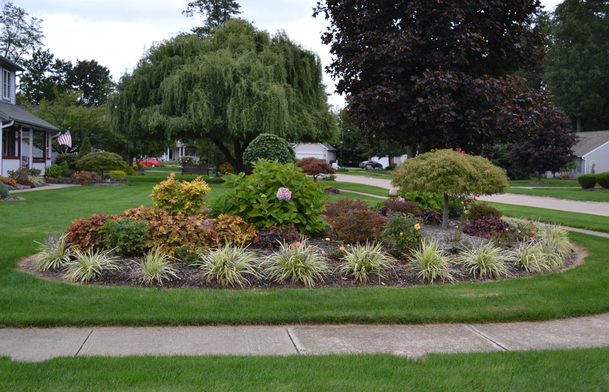 Why do I need raised beds? Do I need raised beds?