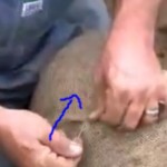Insert the pinning nail in one direction.