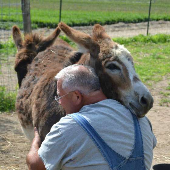 Finnegan hugs me almost everyday. Fergus? He does but I usually have to approach him. He likes to sneak up behind me.