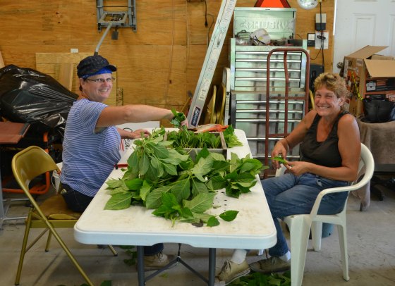 Cathy and Pam making hydrangea cuttings while I'm out wandering around talking with customers and taking photos.