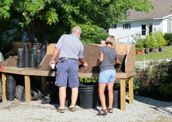 Inspecting the potting soil at Mike's Perry, Ohio Nursery