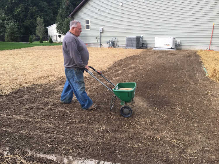 Preparing A Lawn For The Planting Of Grass Seed