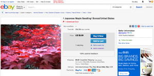 Selling Plants On eBay