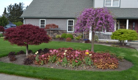 Landscaping Ideas What Plant Goes, Landscaping Around Me