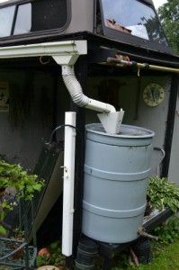 Rain Barrel to Collect Rainwater