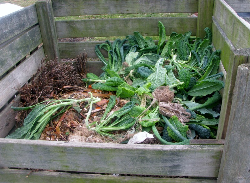 How to Compost at Home — Best Tips for DIY Compost Bin