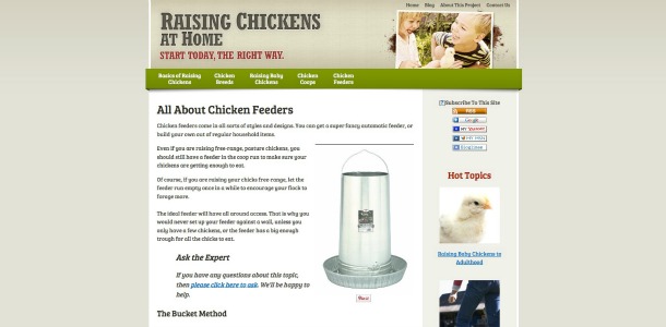 raising-chickens10