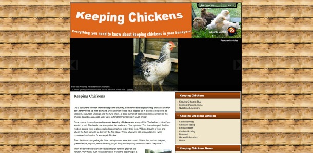 raising-chickens11