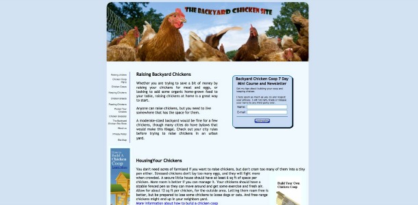 raising-chickens13