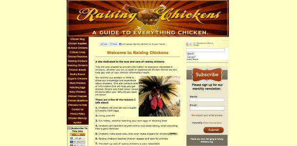 raising-chickens17
