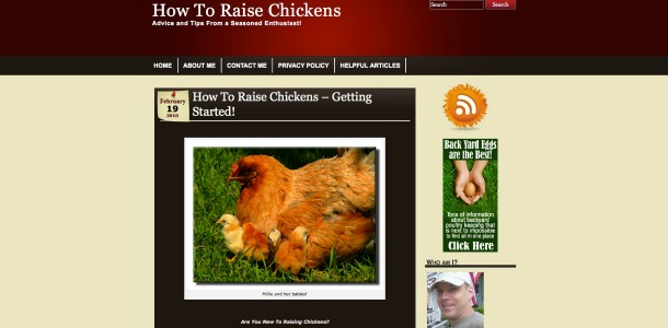 raising-chickens6
