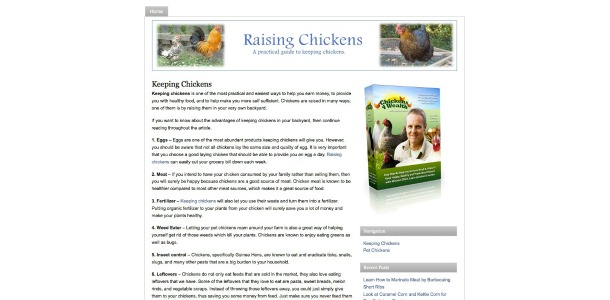 raising-chickens7