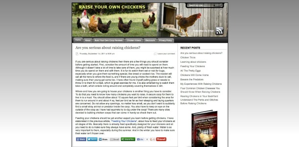 raising-chickens9