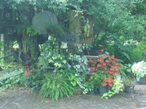 Floraworks Nursery - Chapin, SC