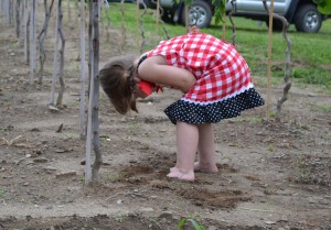 While the adults discuss growing plants, Gabby is doing soil research.