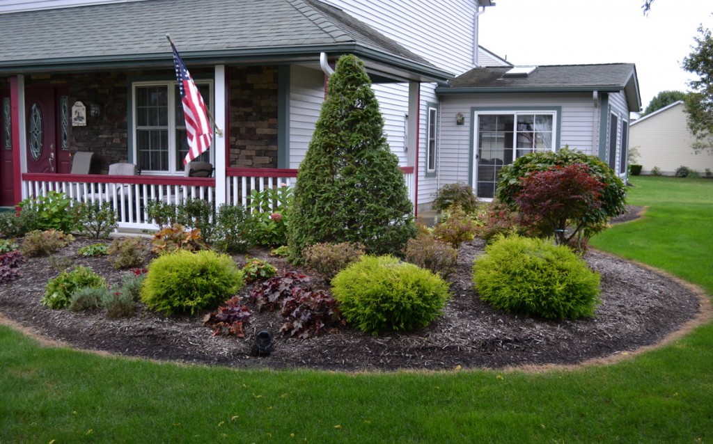 Why do I need raised beds? Do I need raised beds?