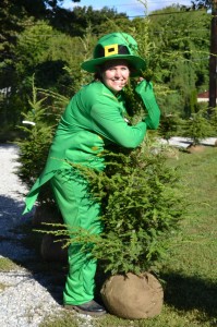 Apparently Leprechauns are really passionate about Canadian Hemlock. How knew?