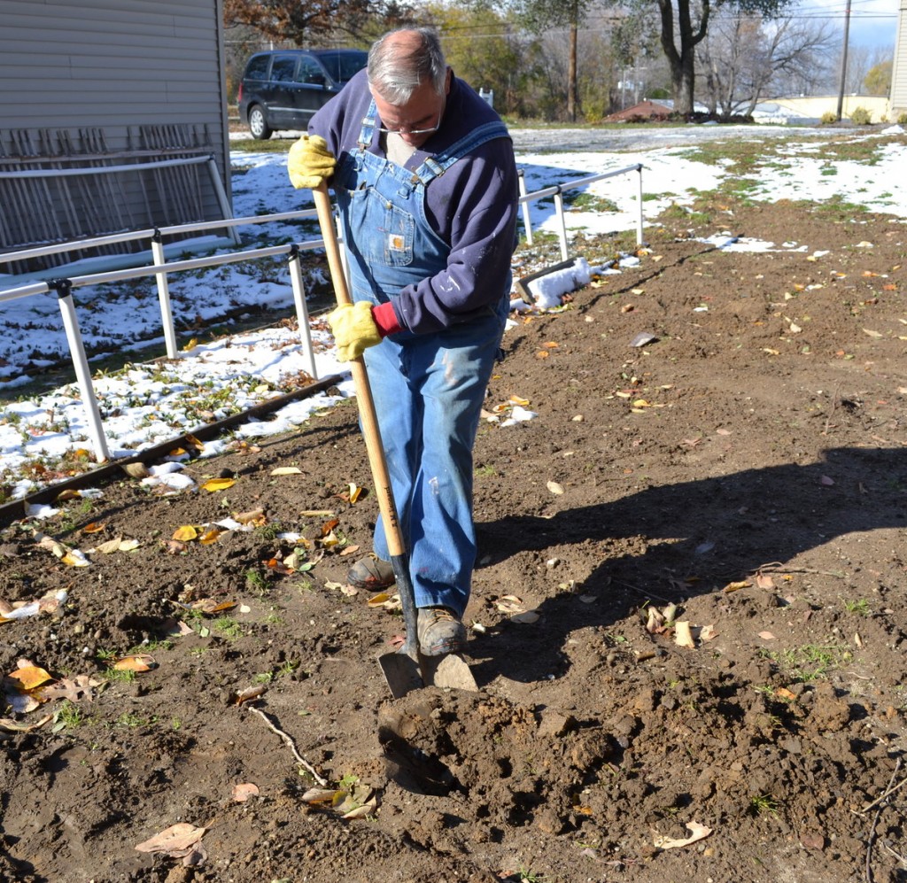 The Consumers Guide to Caring for and Planting a Live Balled in Burlap