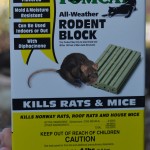 Weather resistant mouse bait.
