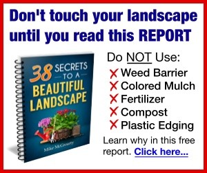 Don't touch your landscape until you read this report