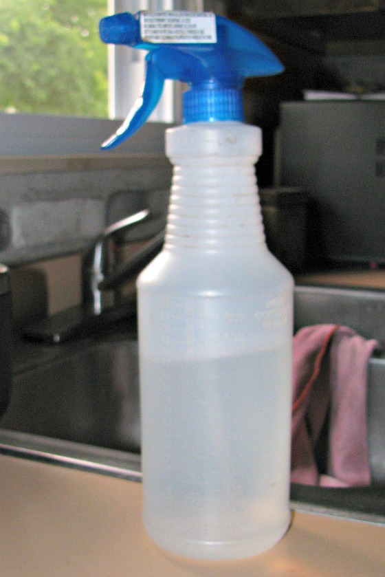 Spray bottle:  a handy training tool.