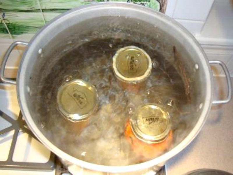 canning 13
