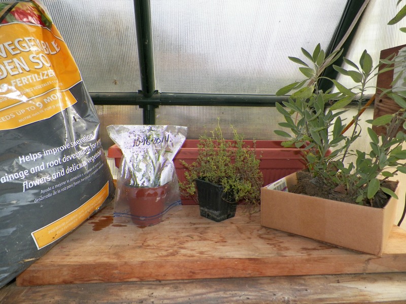 indoor herb garden supplies