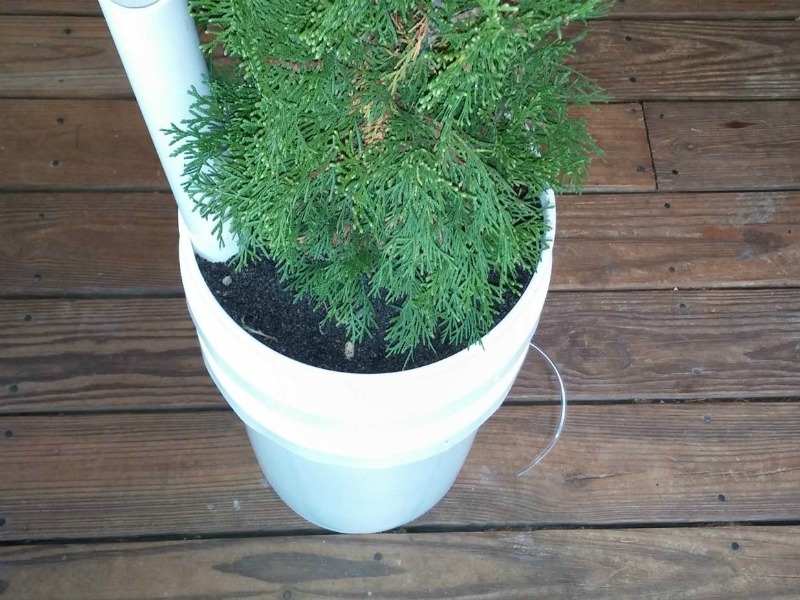 self-watering planter