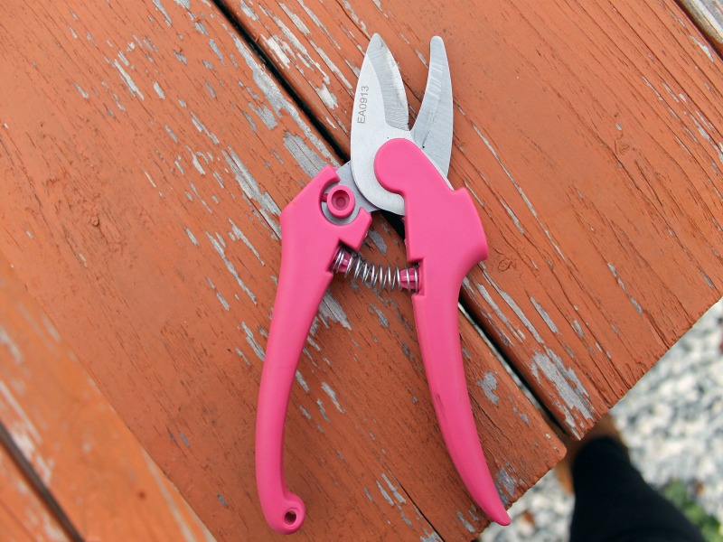 pruning shears for grape vines