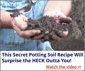 My Secret Potting Soil Recipe