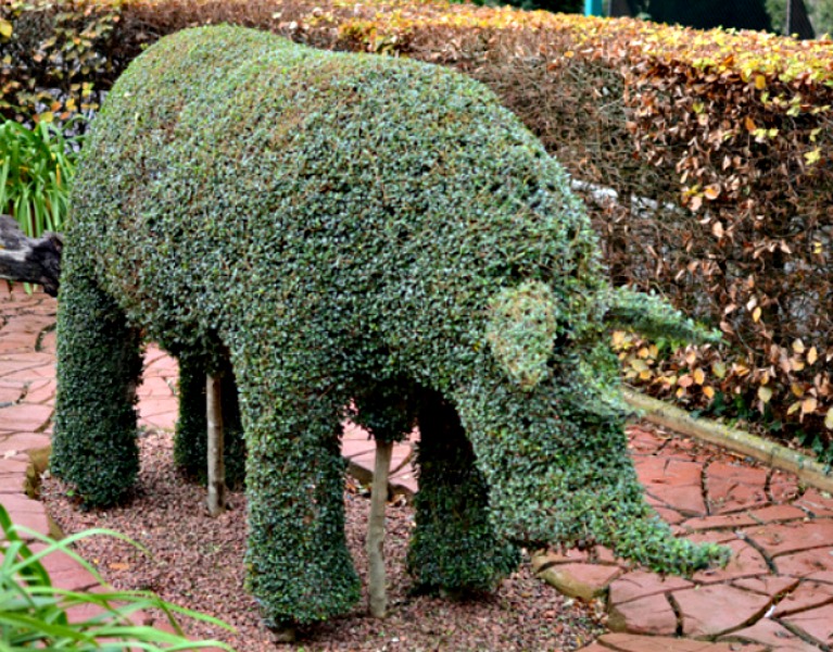 topiary-rhino