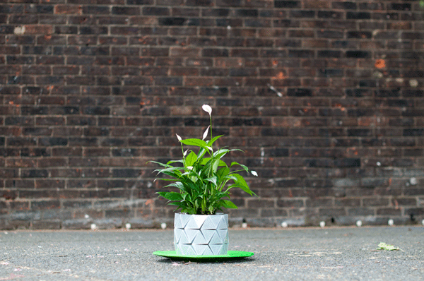 The Growth Flower Pot Grows With Your Plant