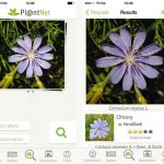 Plant identification app that identifies plants from a photo