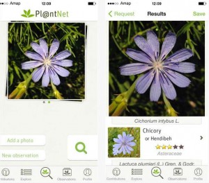 Plant identification app that identifies plants from a photo