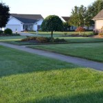 Lawn Repair Tips