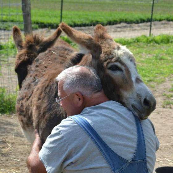 Mike McGroarty hugging miniature donkey Finnegan.