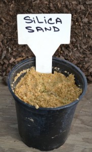 Silica sand is the perfect coarse sand for rooting cuttings.