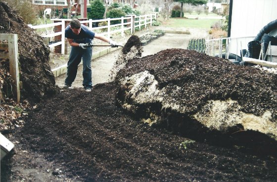Making awesome potting soil.