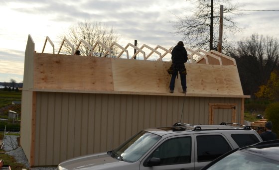 The trusses are up and the roof sheeting is going on.