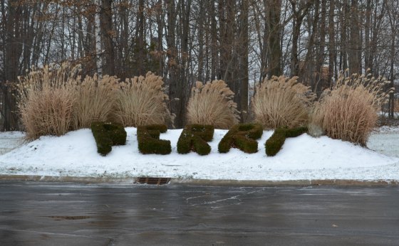 Low growing boxwood used to make an entry way welcome sign.