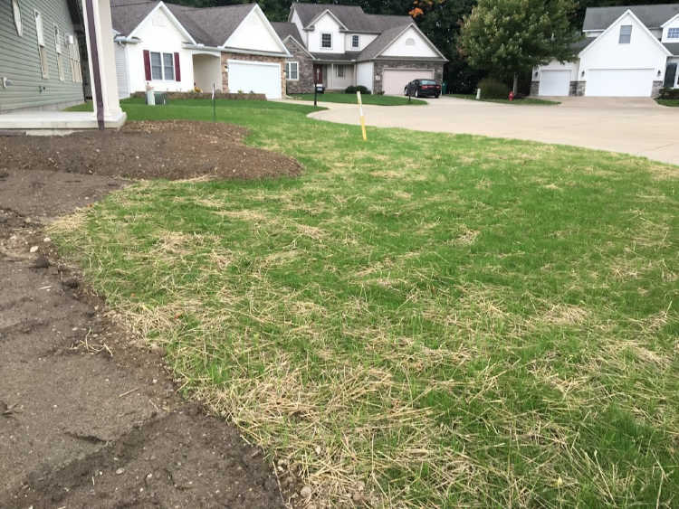 Preparing a Lawn for the Planting of Grass Seed.