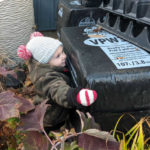 The little helper at Robin's Backyard Nursery.