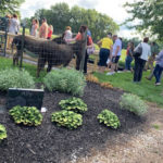 Backyard Growers Shindig 2019